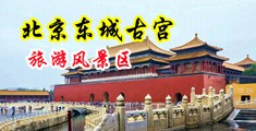 换妻插屁眼疼死了啊中国北京-东城古宫旅游风景区